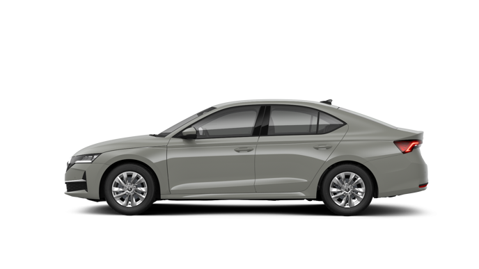 Imaginea unui Octavia Selection 2.0 TDI DSG