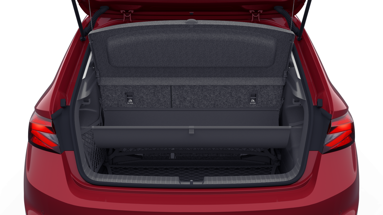 Imaginea unui Fabia Selection 1.0 TSI DSG