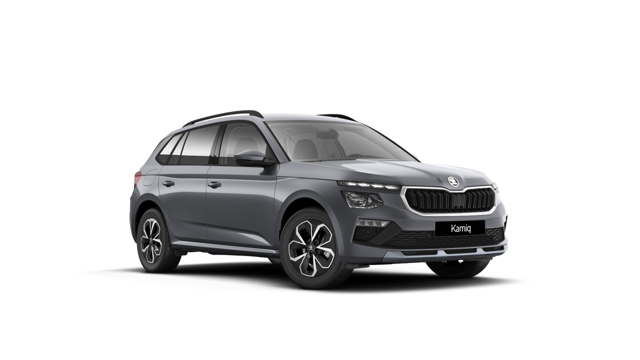 Imaginea unui Kamiq Selection 1.0 TSI DSG