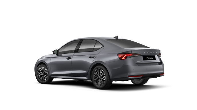 Imaginea unui Octavia Selection 2.0 TDI DSG