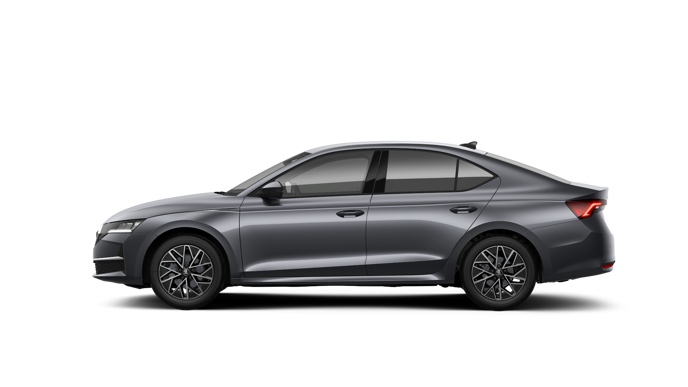 Imaginea unui Octavia Selection 2.0 TDI DSG