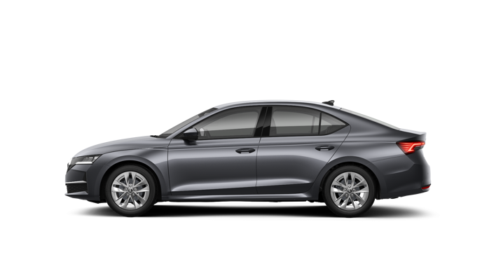 Imaginea unui Octavia Selection 2.0 TDI DSG