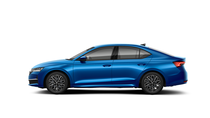 Imaginea unui Octavia Selection 2.0 TDI DSG