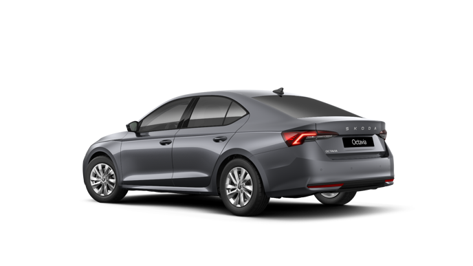 Imaginea unui Octavia Selection 2.0 TDI DSG