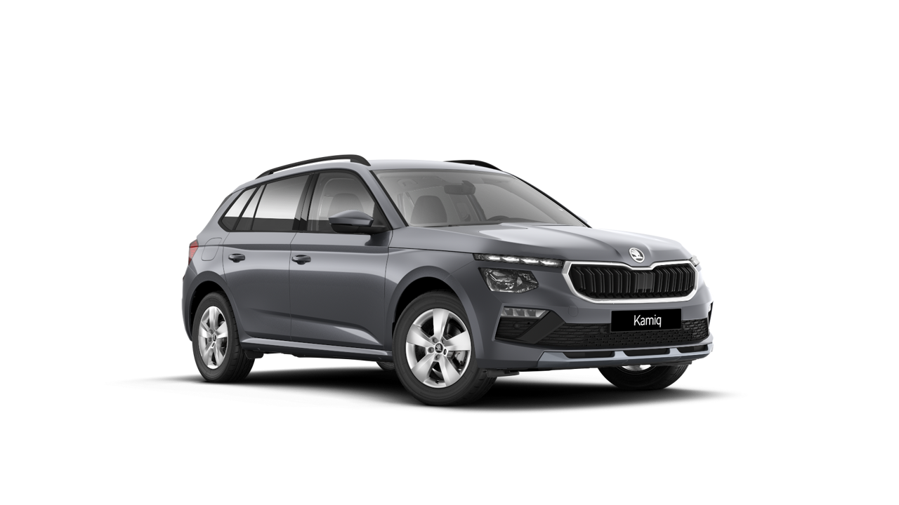 Imaginea unui Kamiq Selection 1.0 TSI DSG