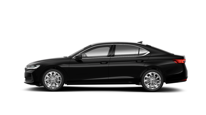 Imaginea unui Superb Selection 2.0 TSI DSG