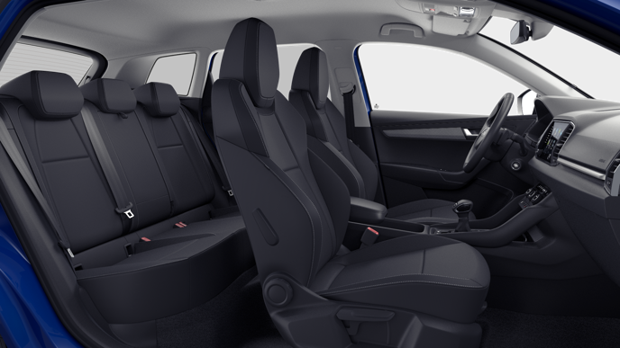 Imaginea unui Karoq Selection 2.0 TDI 4x4 DSG