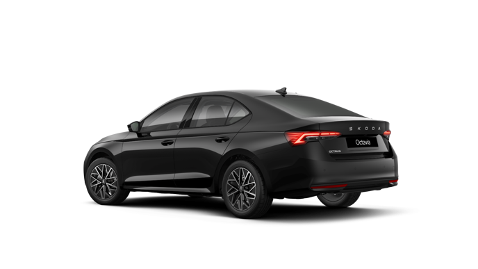 Imaginea unui Octavia Selection 2.0 TDI DSG