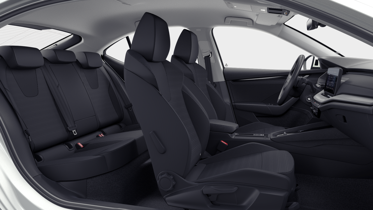 Imaginea unui Octavia Selection 2.0 TDI DSG