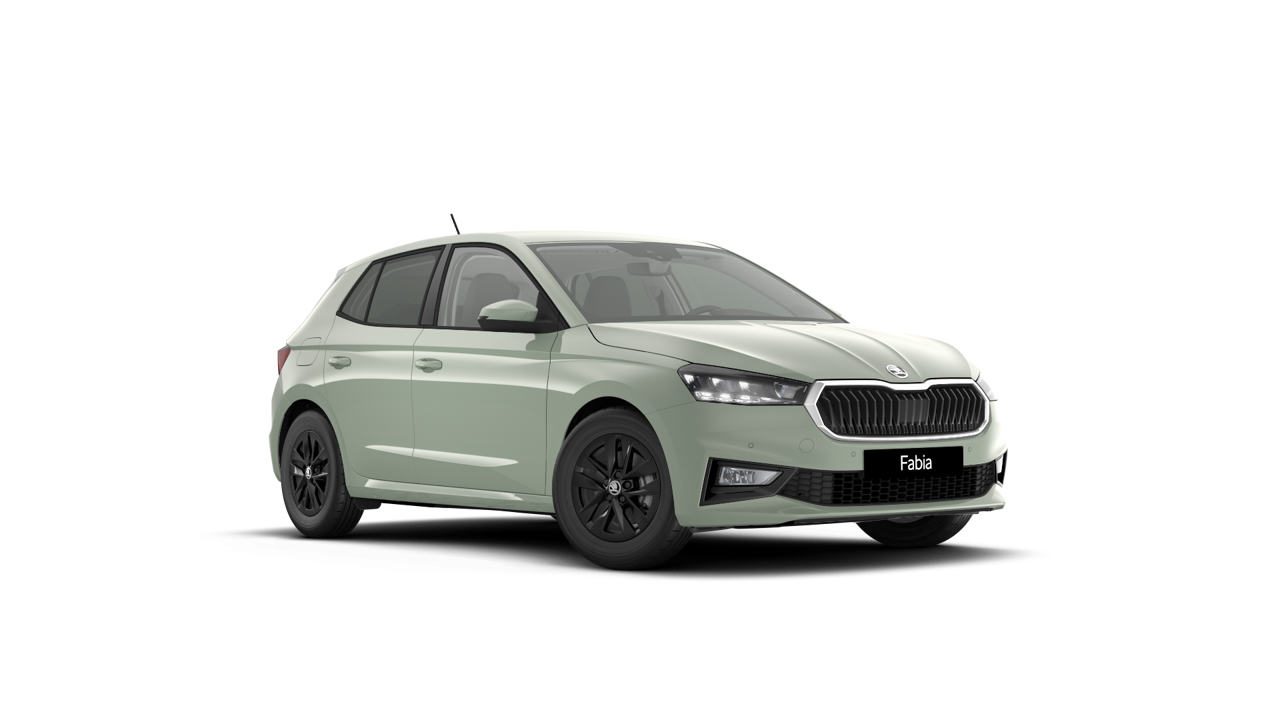Imaginea unui Fabia Selection 1.0 TSI DSG