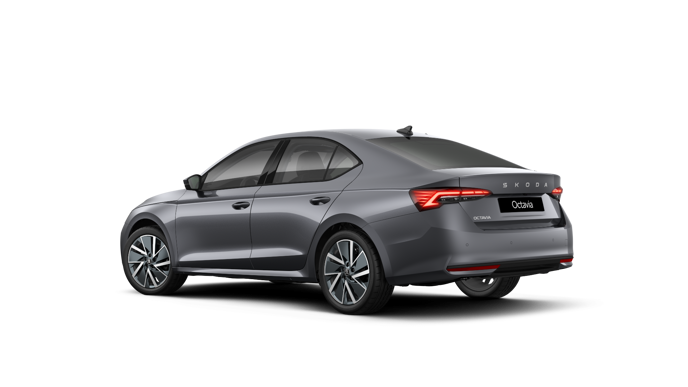 Imaginea unui Octavia Selection 2.0 TDI DSG