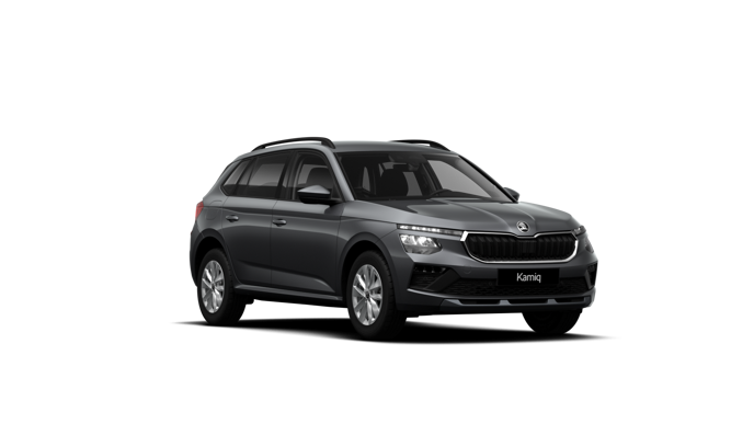 Imaginea unui Kamiq Selection 1.0 TSI DSG