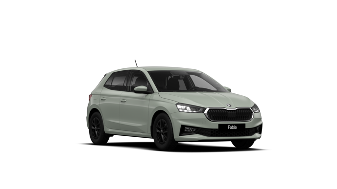 Imaginea unui Fabia Selection 1.0 TSI