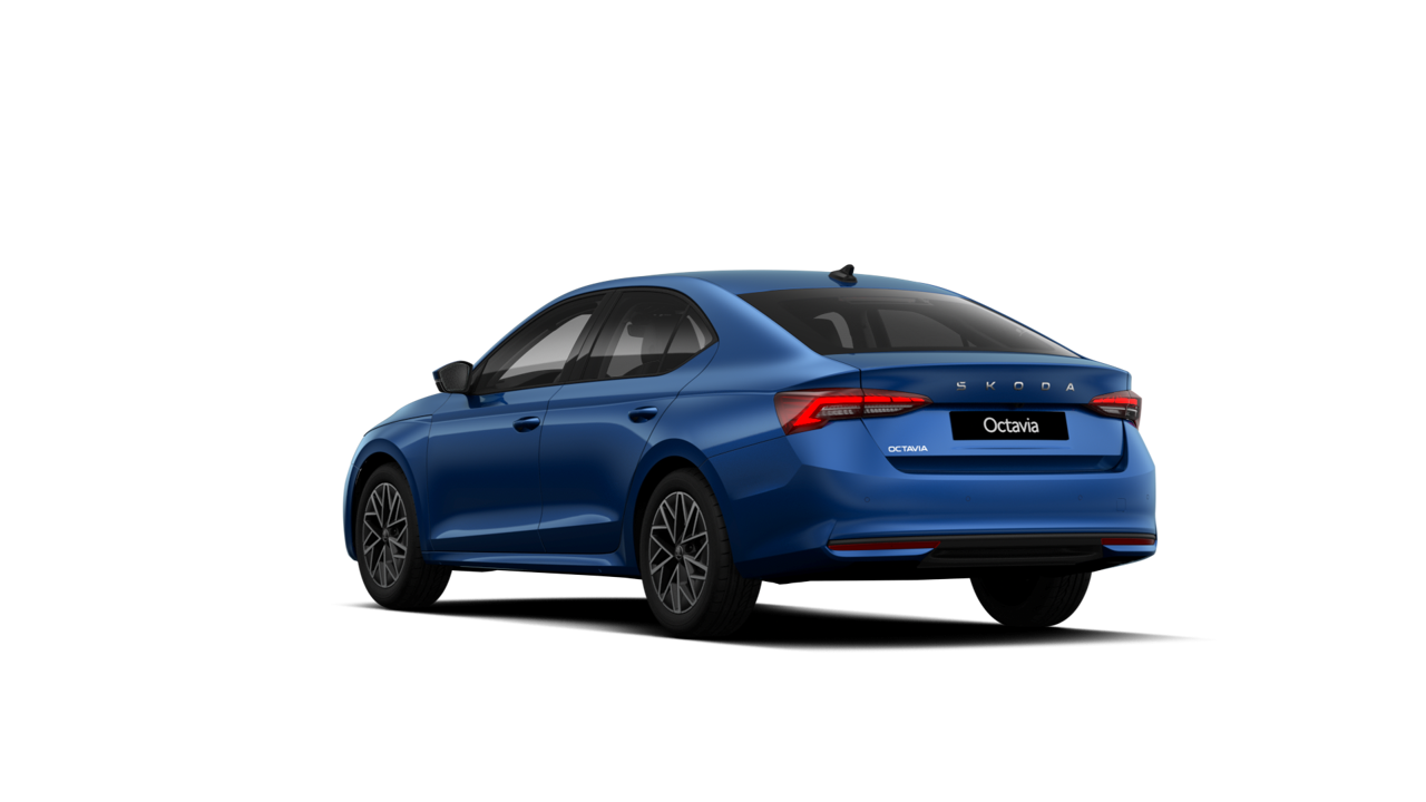 Imaginea unui Octavia Selection 2.0 TDI DSG