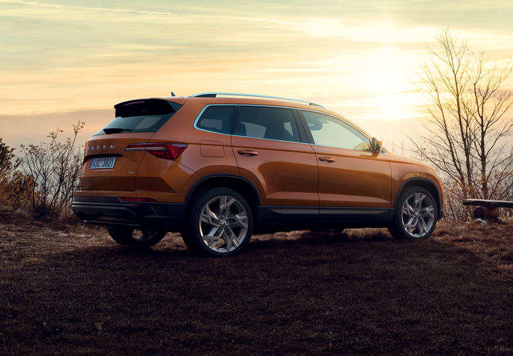 Elemente suplimentare protectie sasiu