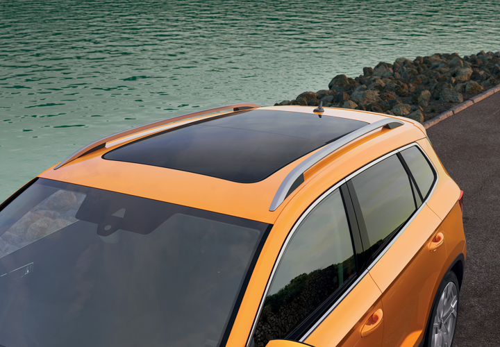 Plafon panoramic glisabil