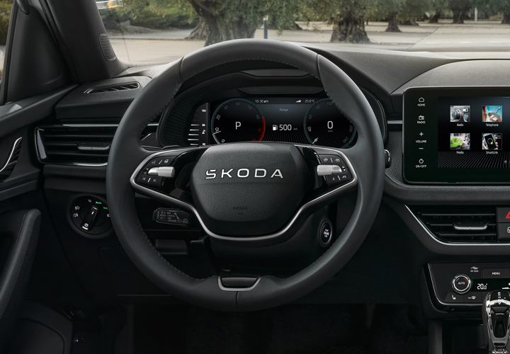 Volan incalzit multifunctional