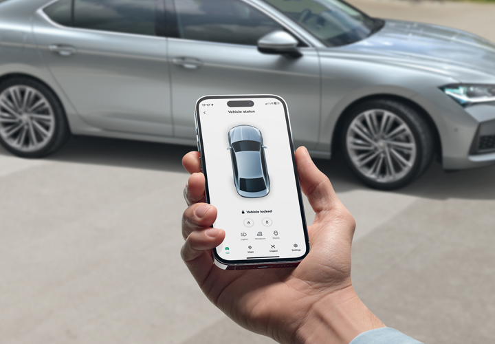 Servicii Online SKODA