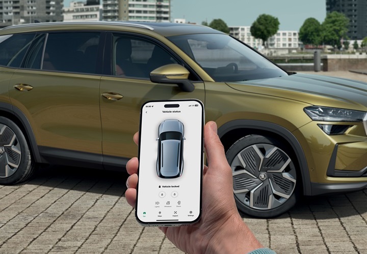 Servicii Online SKODA