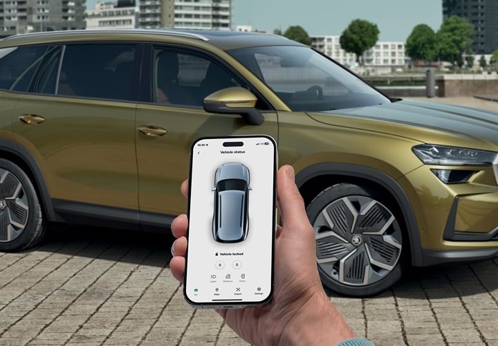 Servicii Online SKODA