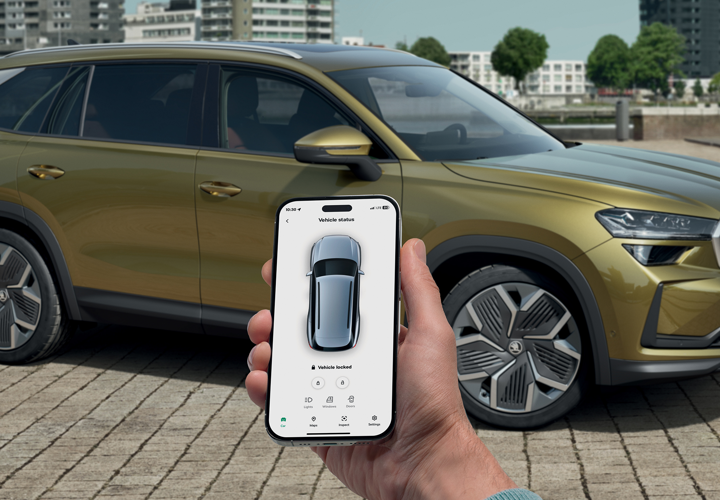 Servicii Online SKODA
