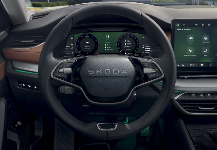 Volan incalzit multifunctional