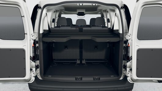 Imaginea unui CaddyFL Maxi Trend 2.0 TDI 75 kW