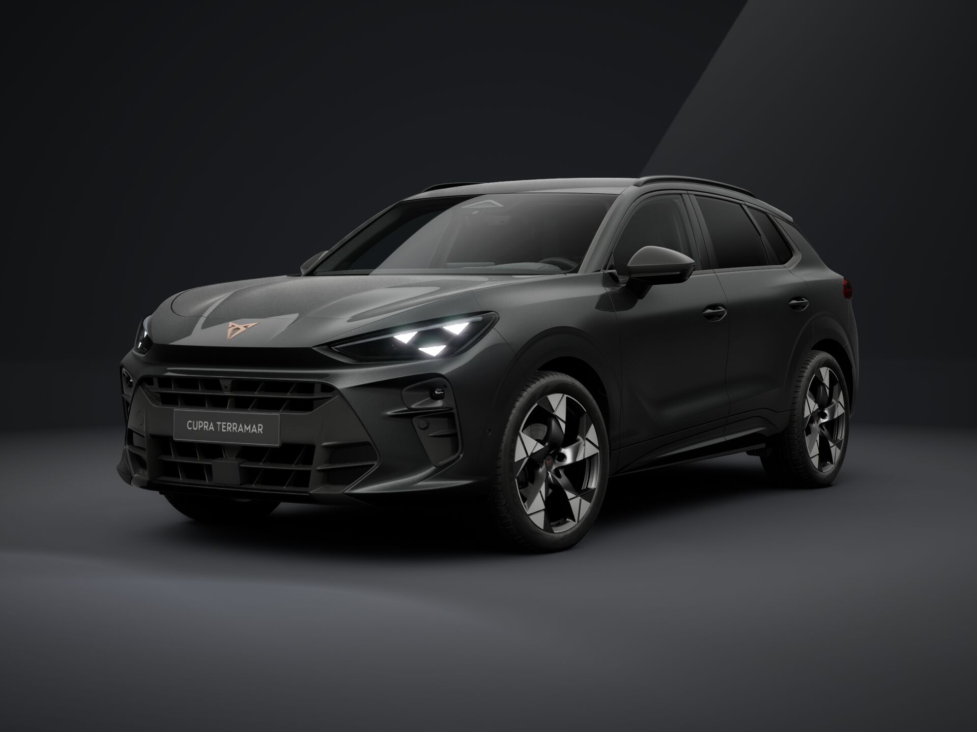 Imaginea unui CUPRA Terramar 1.5 eTSI DSG mild hybrid