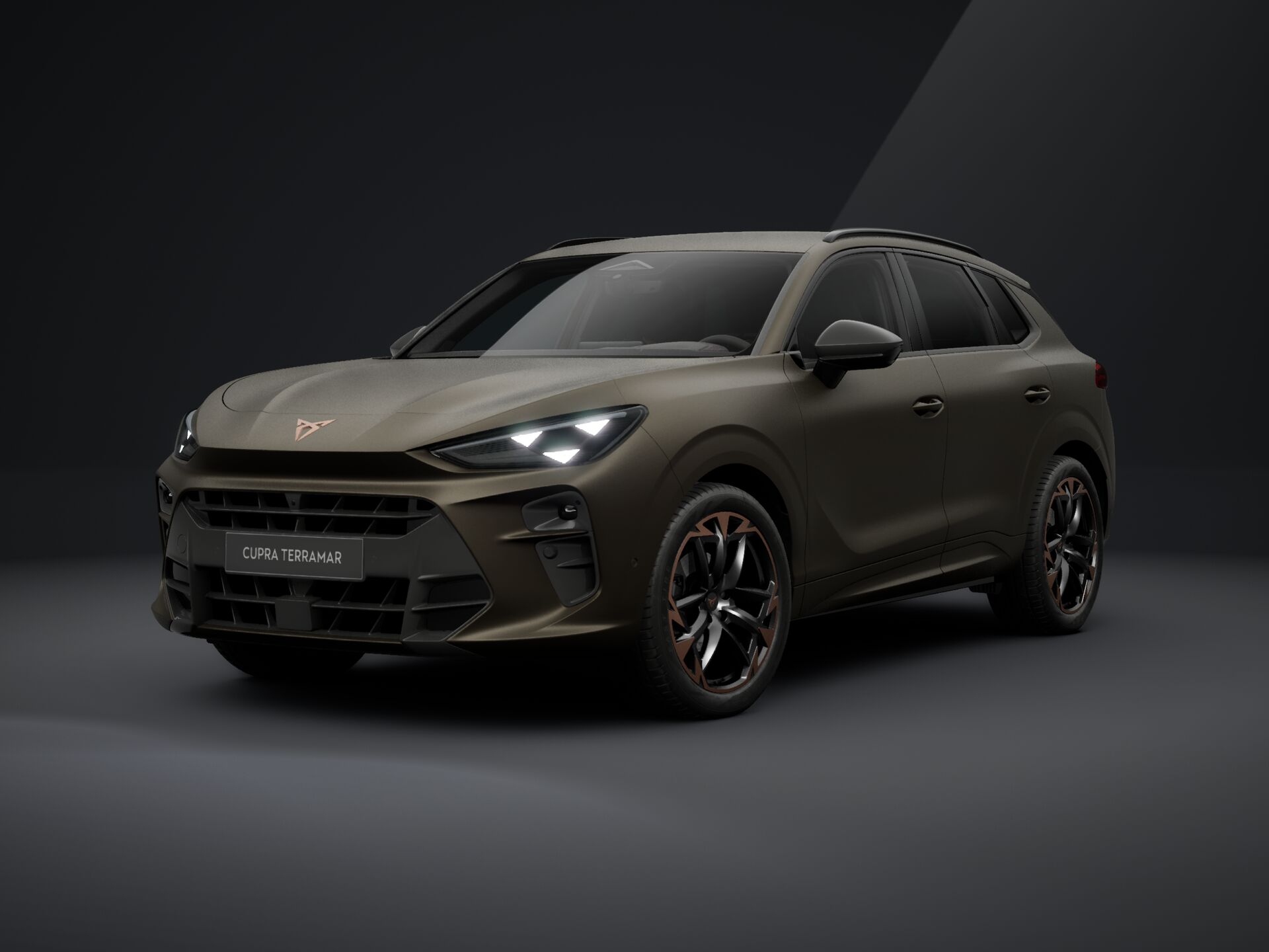 Imaginea unui CUPRA Terramar 1.5  eTSI DSG mild hybrid