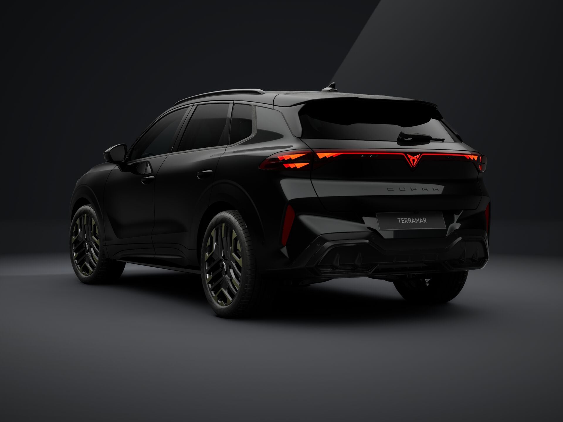 Imaginea unui Terramar Tribe Edition 2.0 TSI DSG 4DRV