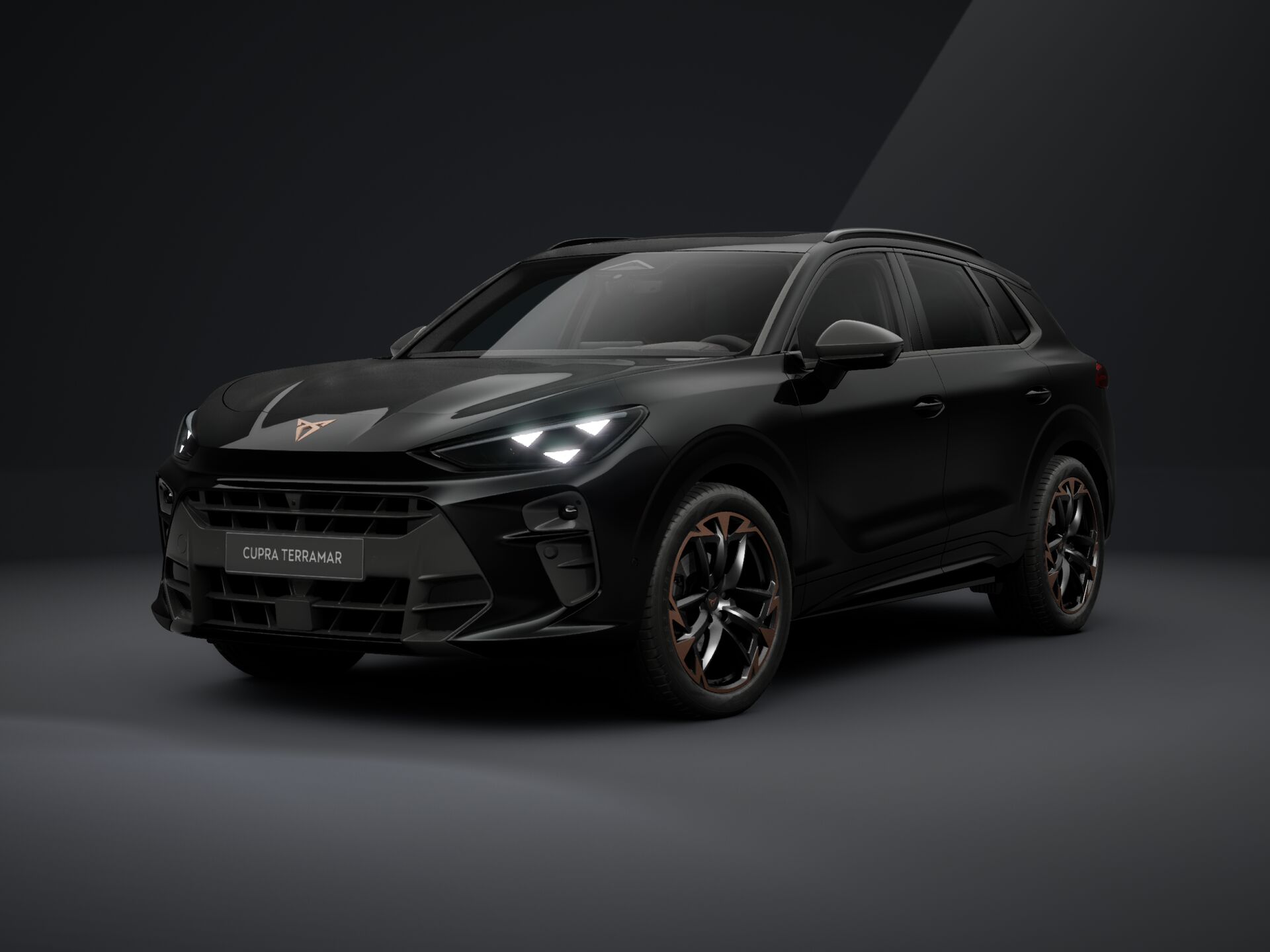 Imaginea unui CUPRA Terramar 1.5  eTSI DSG mild hybrid