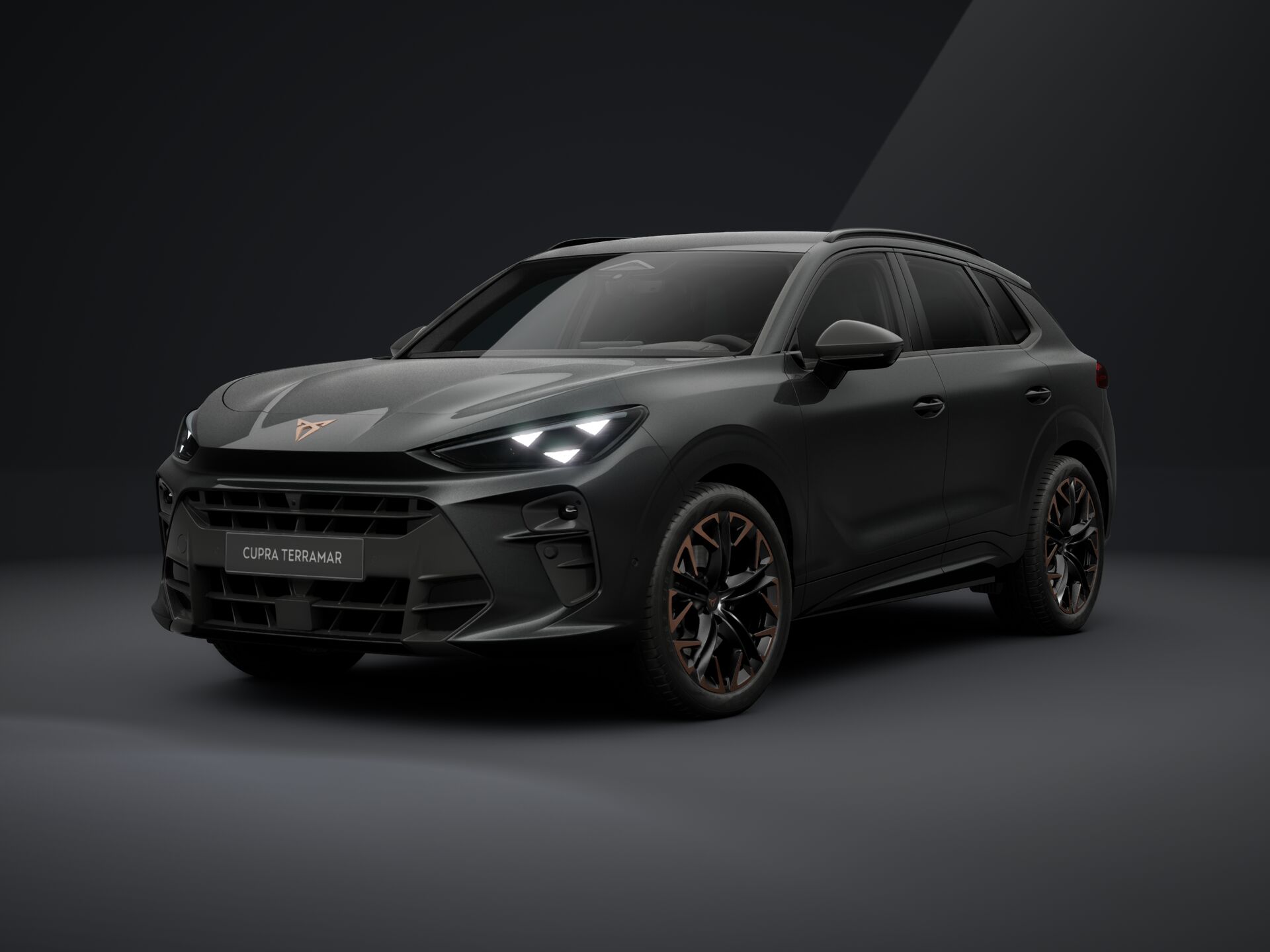 Imaginea unui CUPRA Terramar 2.0 TSI DSG 4DRIVE
