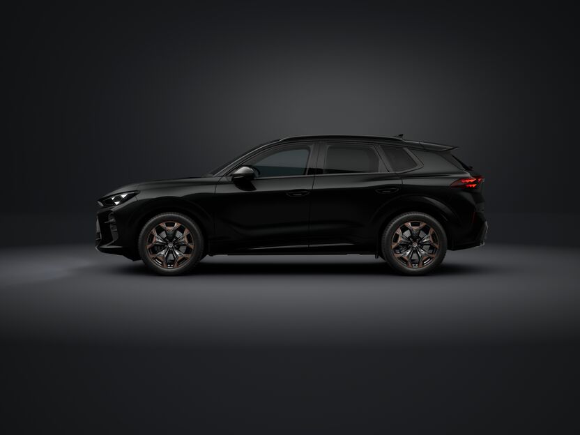 Imaginea unui CUPRA Terramar 2.0 TSI DSG 4DRIVE