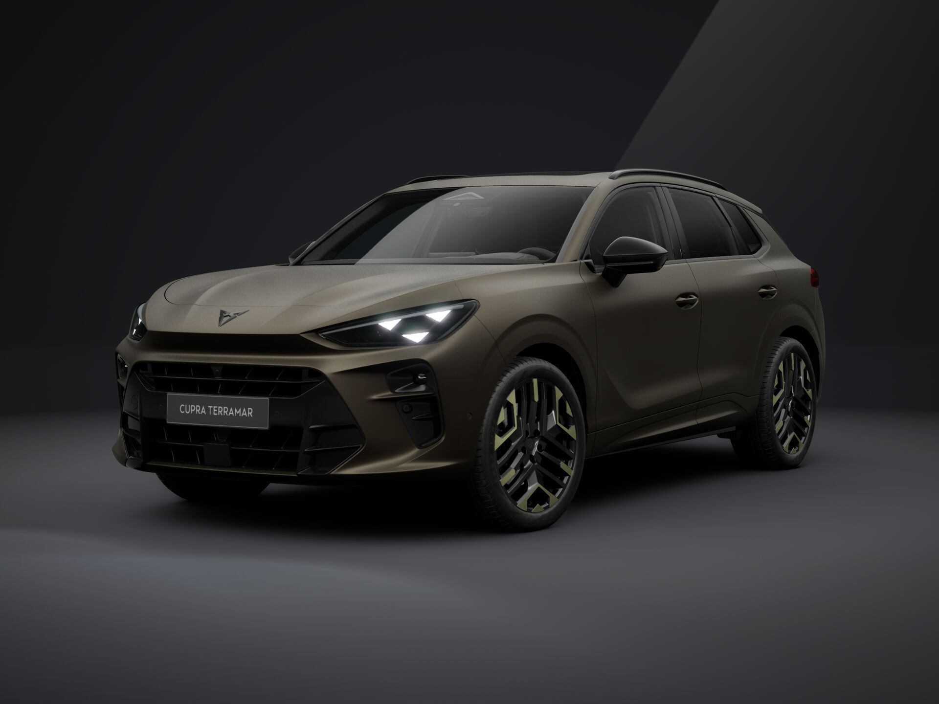 Imaginea unui Terramar Tribe Edition 2.0 TSI DSG 4DRV