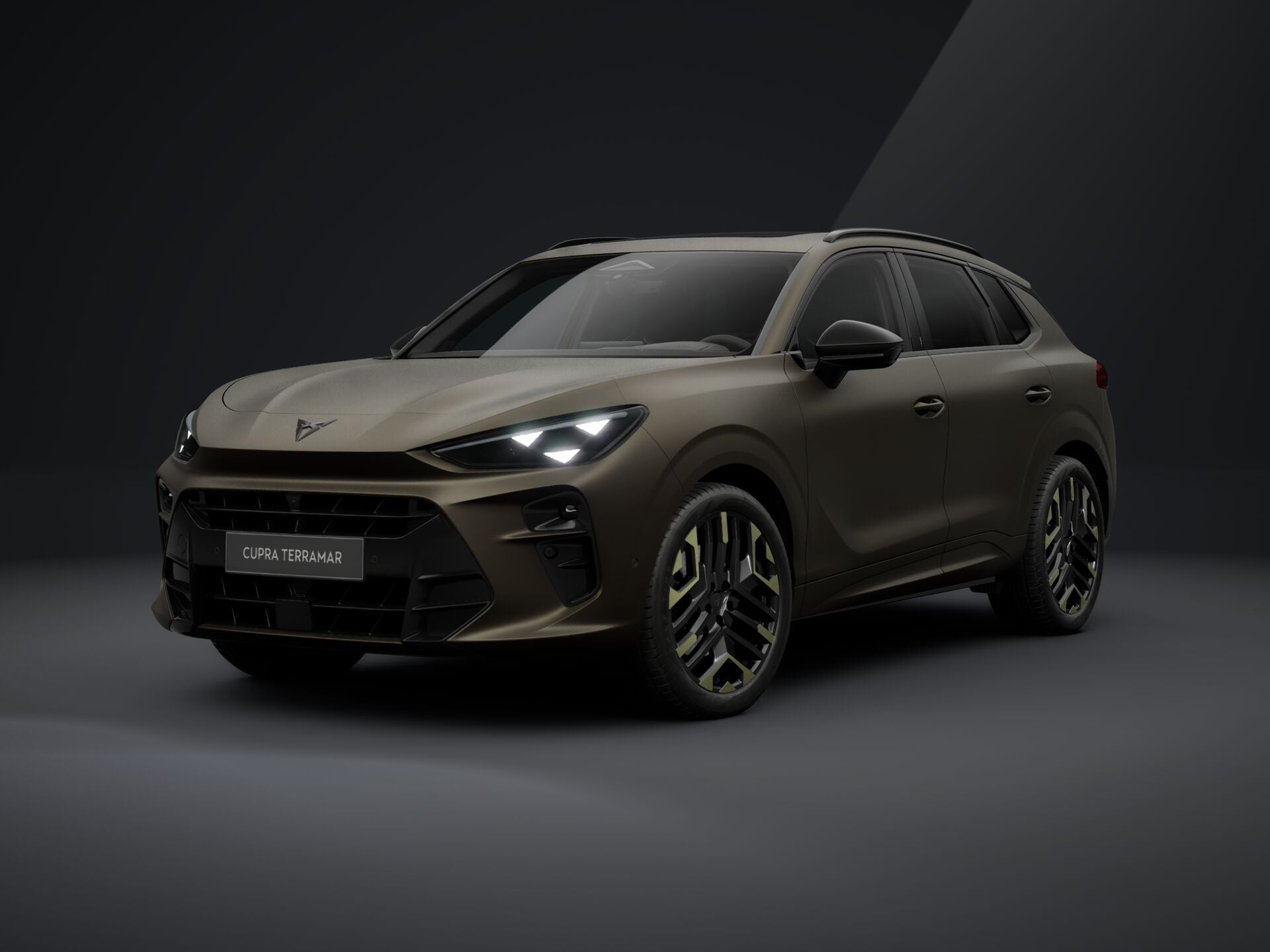 Imaginea unui Terramar Tribe Edition 2.0 TSI DSG 4DRV