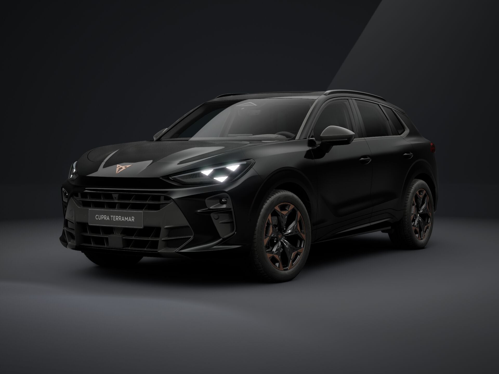Imaginea unui CUPRA Terramar 1.5 eTSI DSG mild hybrid