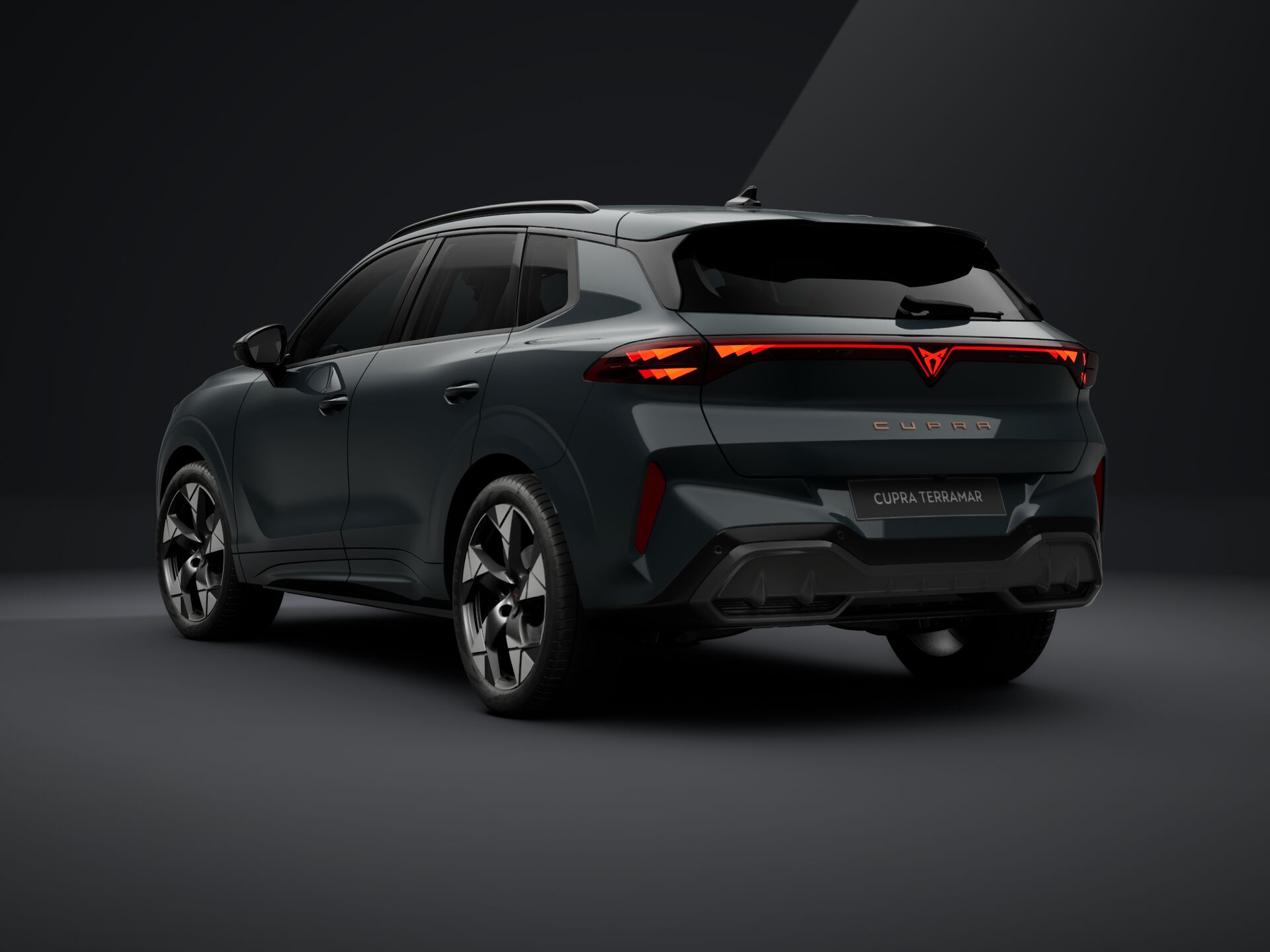 Imaginea unui CUPRA Terramar 1.5  eTSI DSG mild hybrid