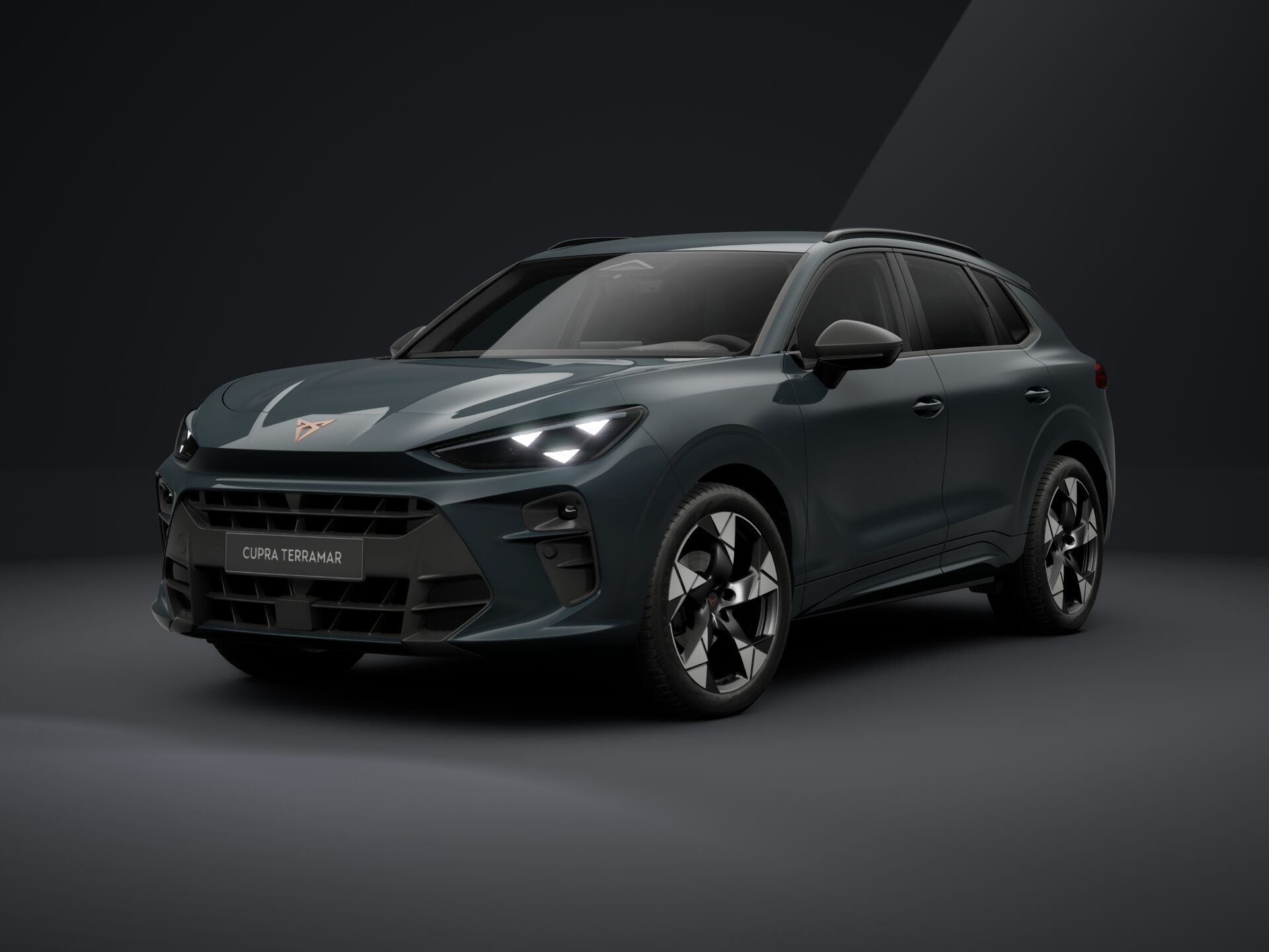 Imaginea unui CUPRA Terramar 1.5  eTSI DSG mild hybrid