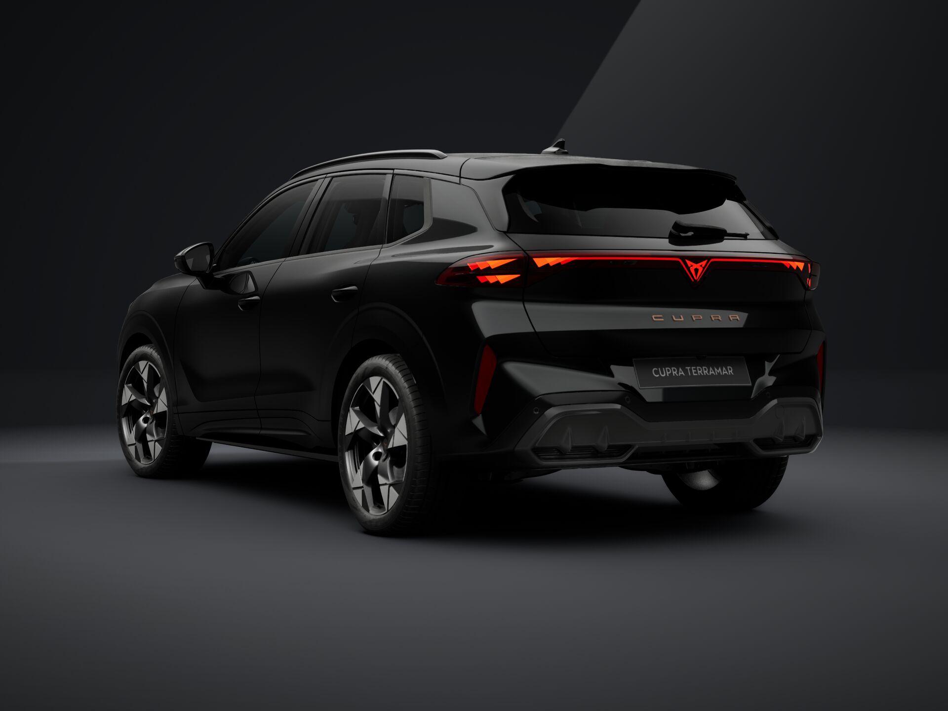 Imaginea unui CUPRA Terramar 1.5 eTSI DSG mild hybrid