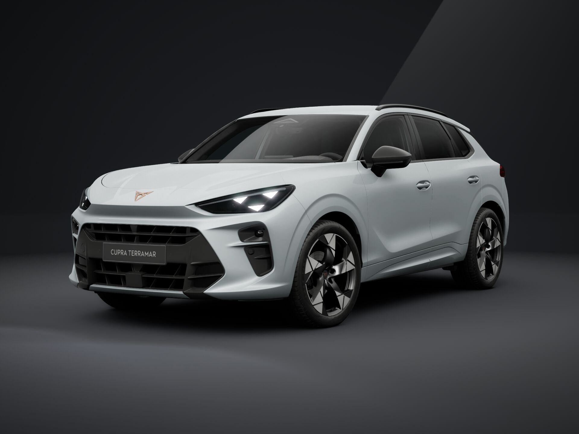 Imaginea unui CUPRA Terramar 1.5  eTSI DSG mild hybrid