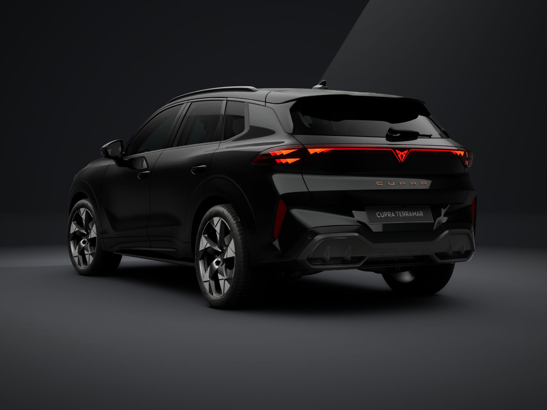 Imaginea unui CUPRA Terramar 1.5 eTSI DSG mild hybrid