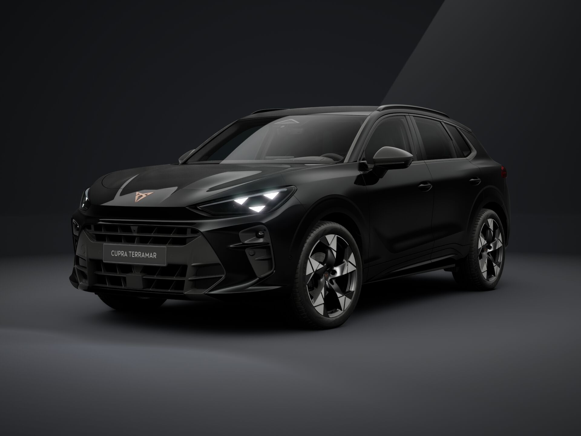 Imaginea unui CUPRA Terramar 1.5 eTSI DSG mild hybrid