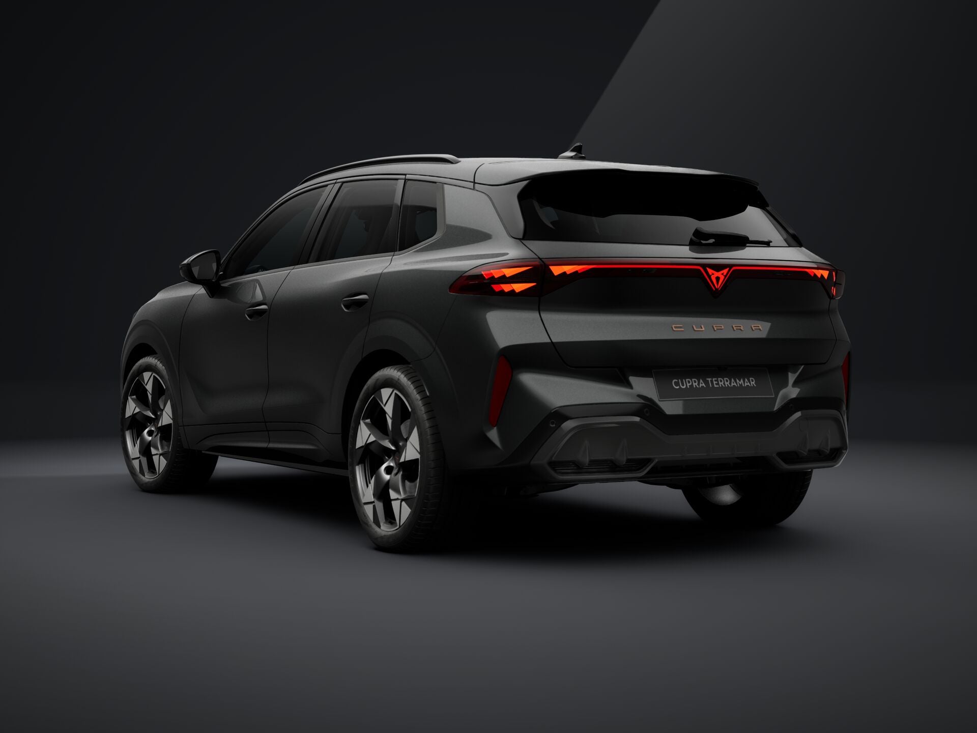 Imaginea unui CUPRA Terramar 1.5  eTSI DSG mild hybrid
