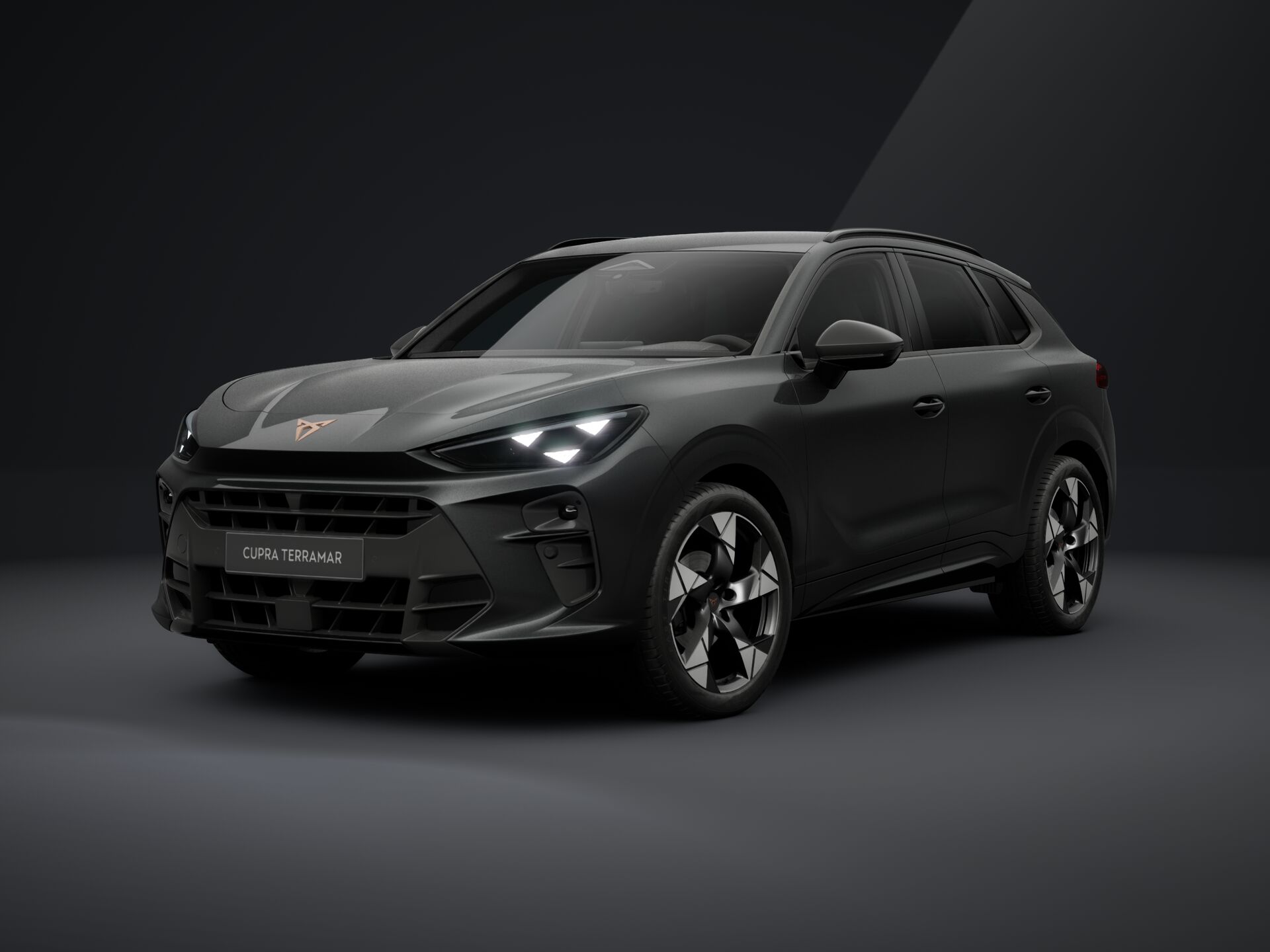 Imaginea unui CUPRA Terramar 1.5  eTSI DSG mild hybrid