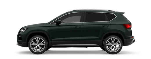 Imaginea unui Ateca