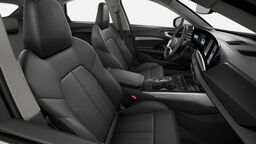 Unutrašnjost koža/veštačka koža