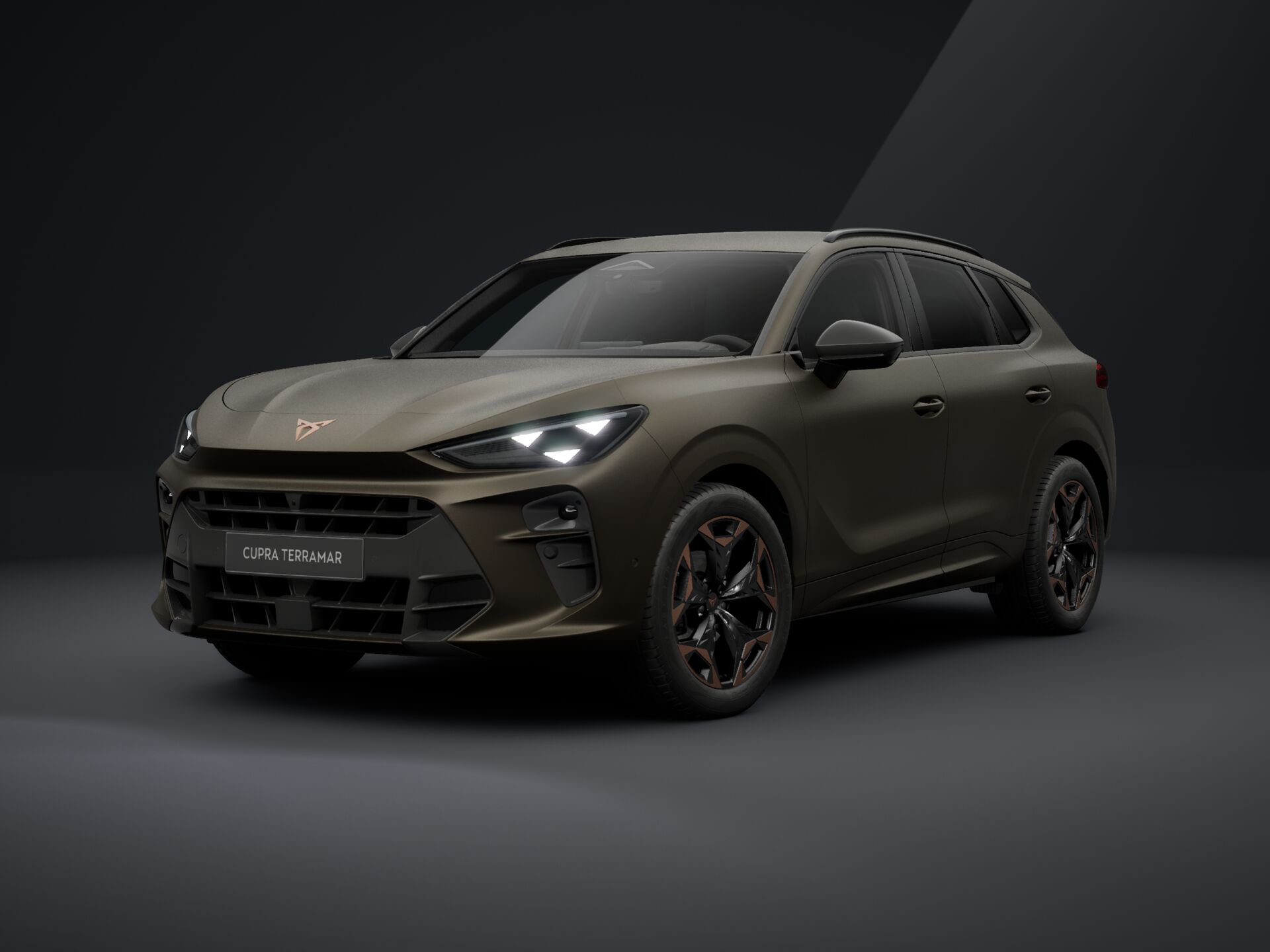 Slika CUPRA Terramar 1.5 eTSI mHEV
