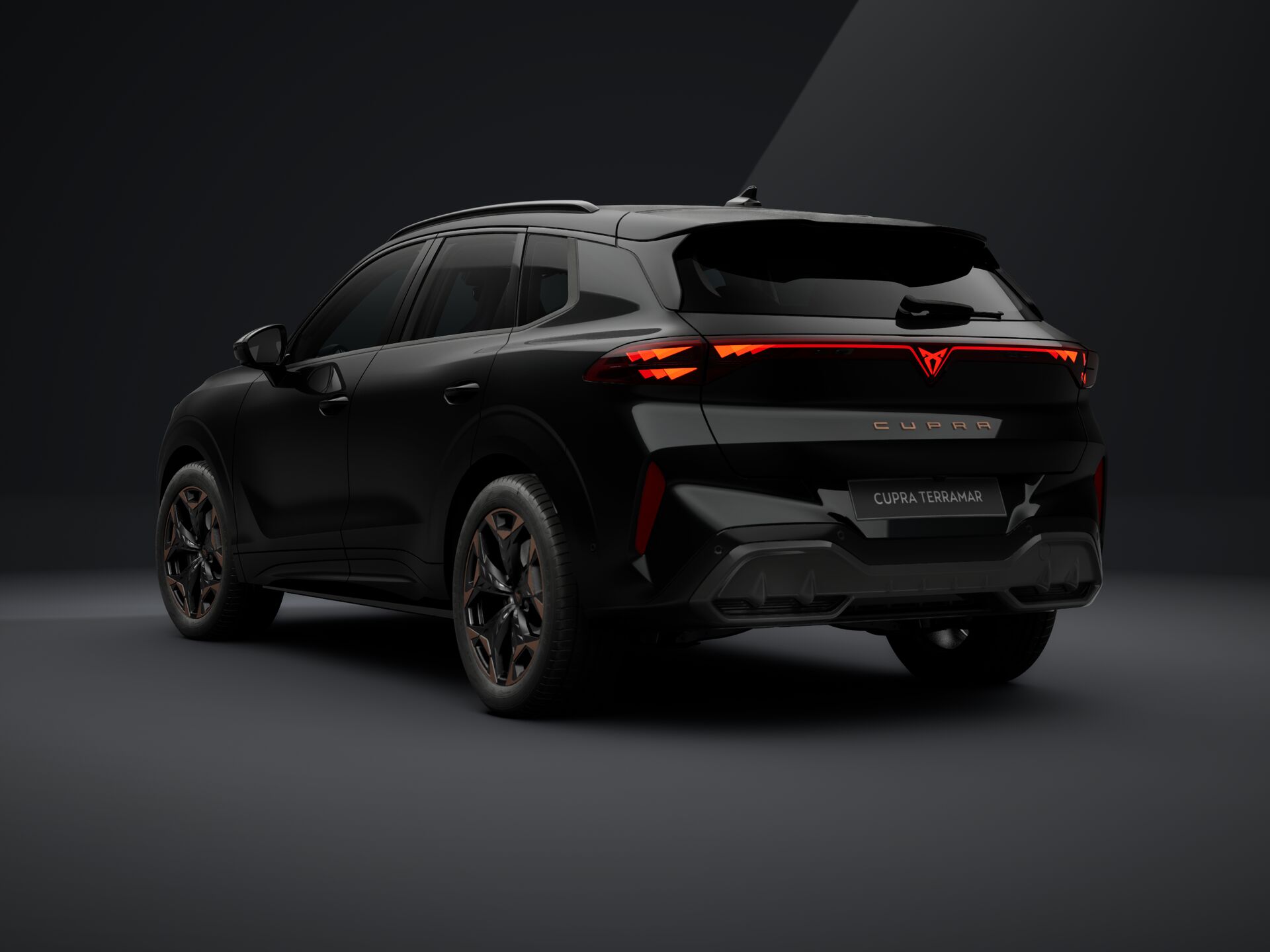 Slika CUPRA Terramar 2.0 TSI DSG 4WD