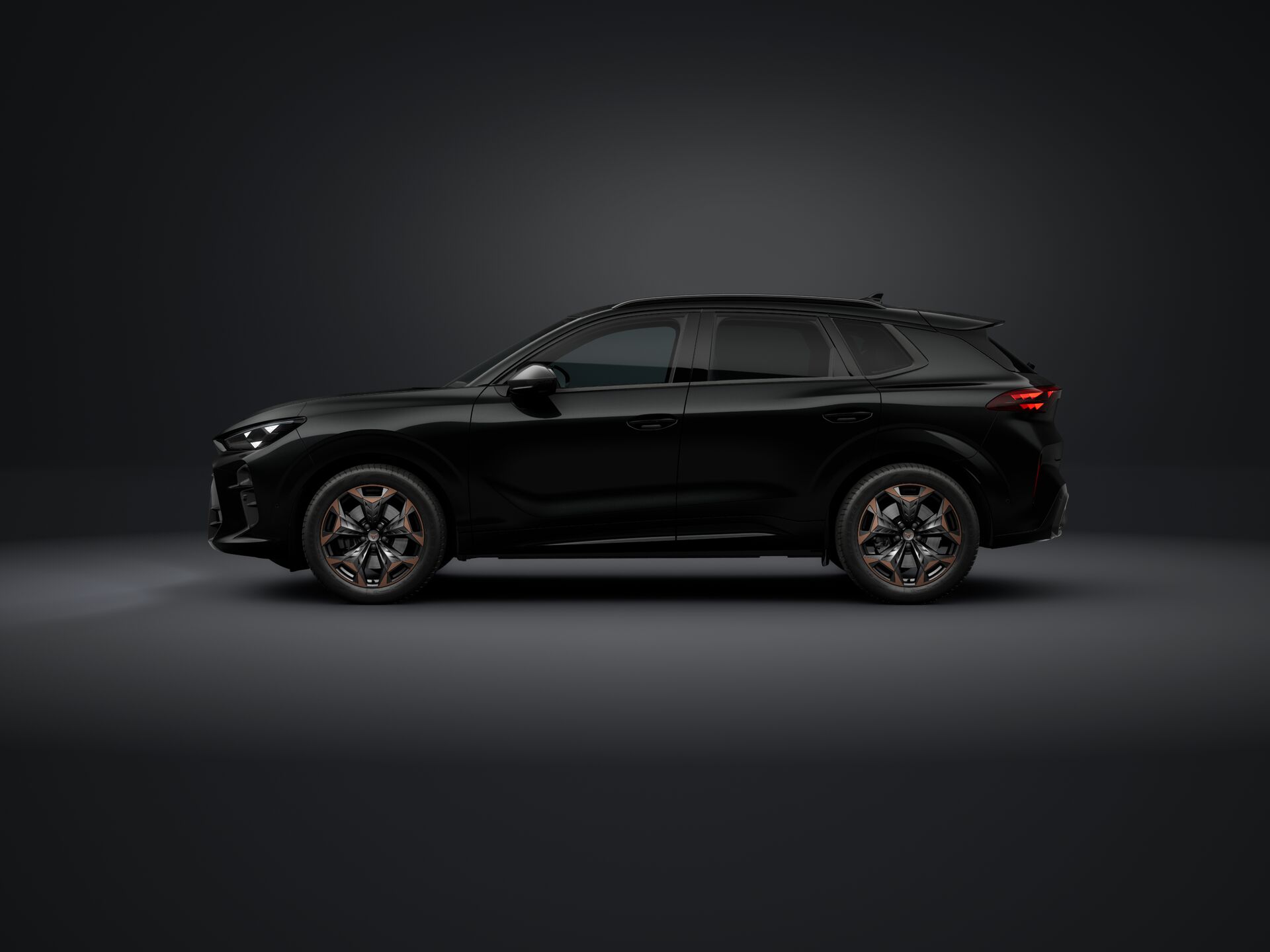 Slika CUPRA Terramar 2.0 TSI DSG 4WD