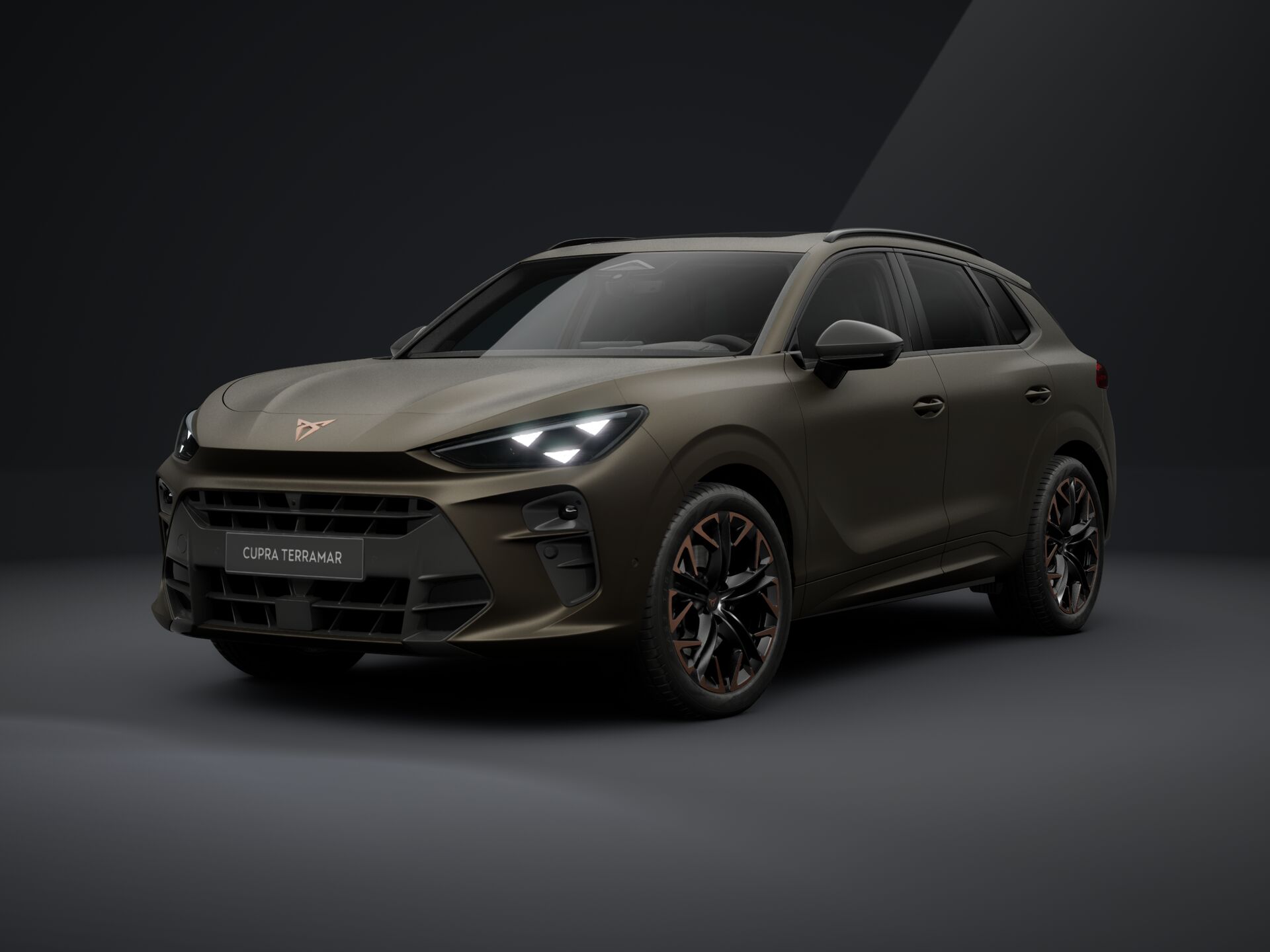 Slika CUPRA Terramar VZ 2.0 TSI DSG 4WD